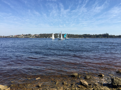 Point Resolution Reserve-Dalkeith必去景点