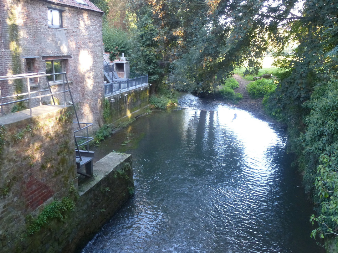 Logis Hôtel le Moulin d'Artres主图