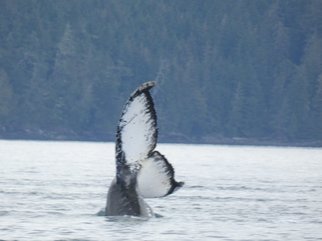 The Artists Point Bed, Breakfast and Phototours主图