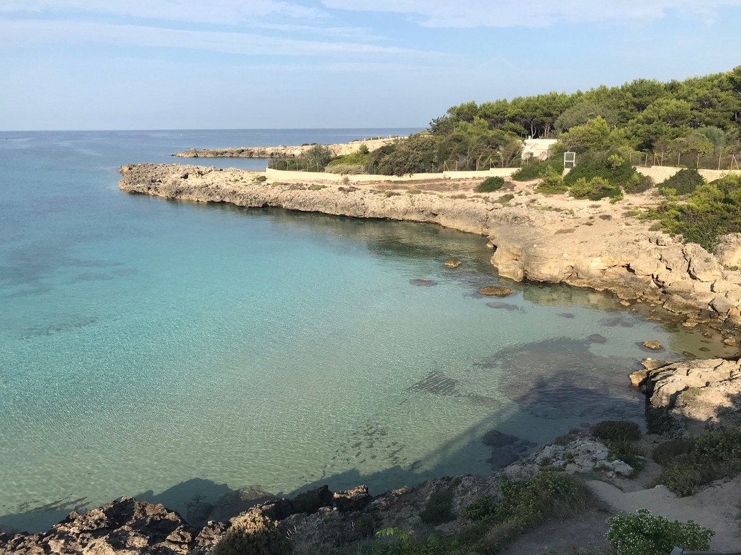 Spiaggia di Lido Silvana景点图片