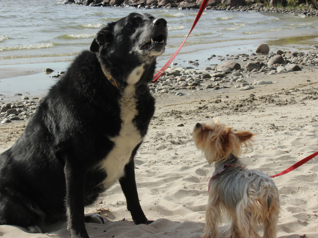 Lake Winnipeg-曼尼托巴省必去景点