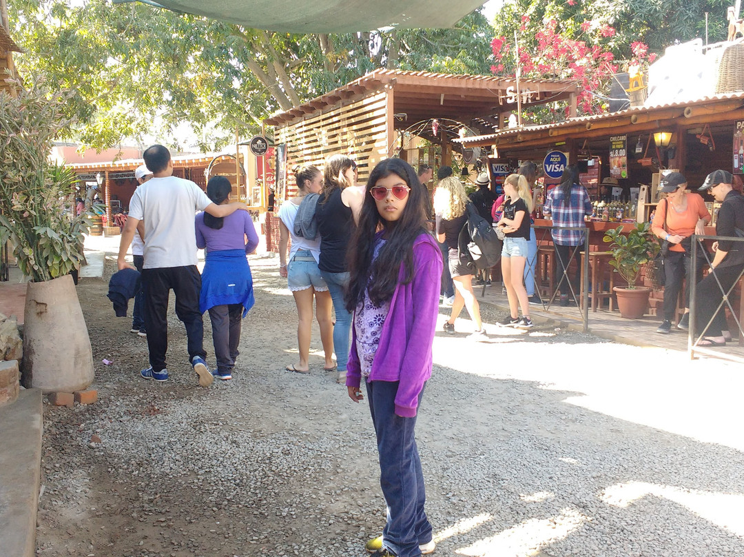 Lima's Drivers & Tours-利马必去景点