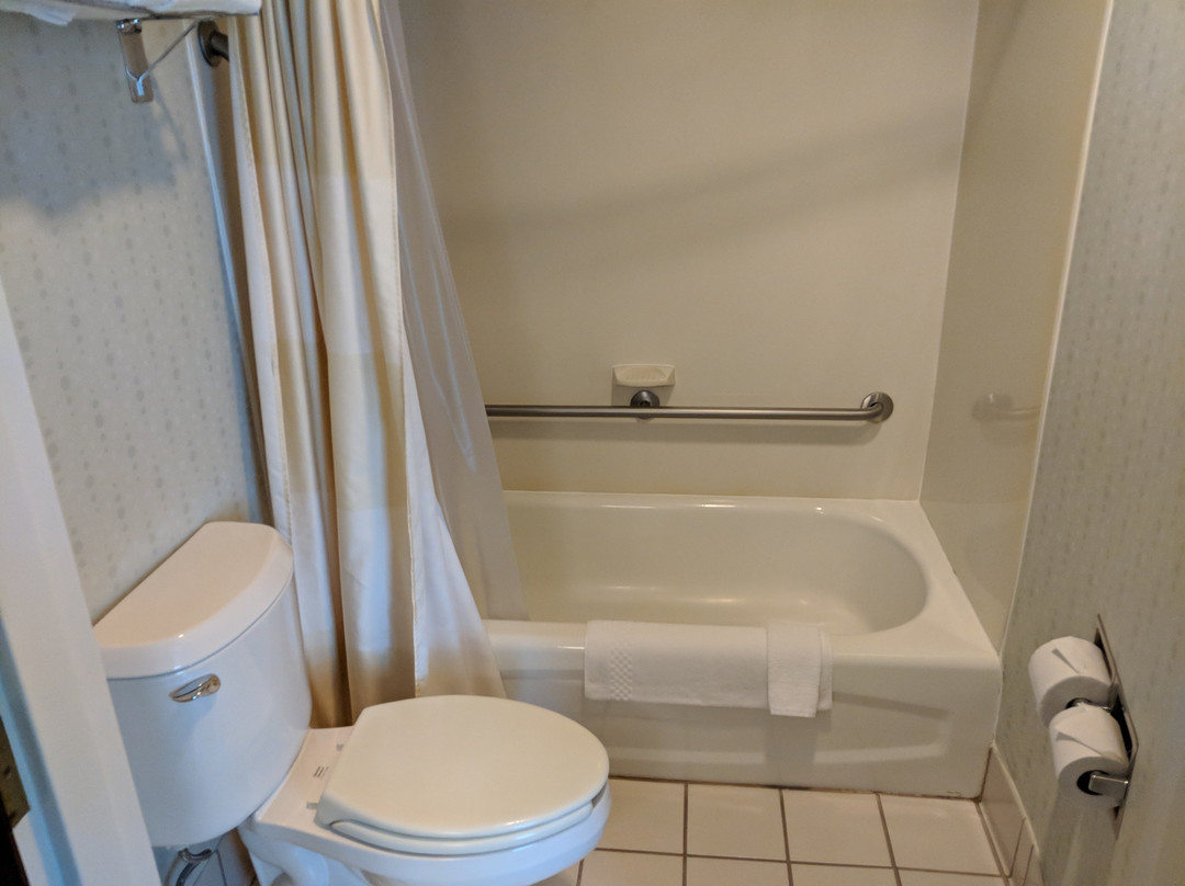 SpringHill Suites by Marriott Herndon Reston主图