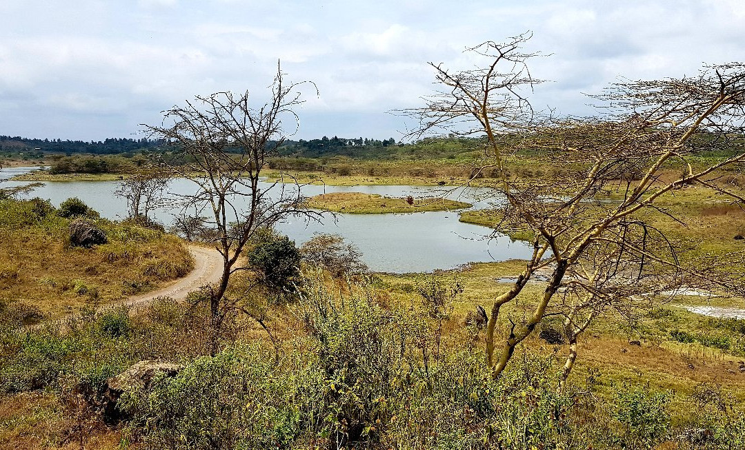 Momella Lakes-阿鲁沙必去景点