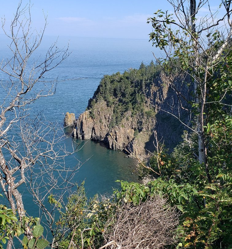 Thomas B. Munro Memorial Nature Preserve-Grand Manan必去景点