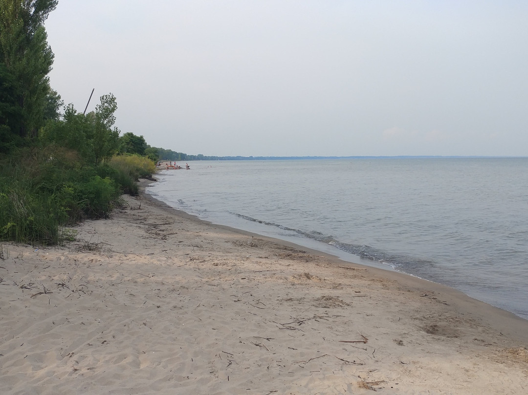 Rondeau Provincial Park景点图片