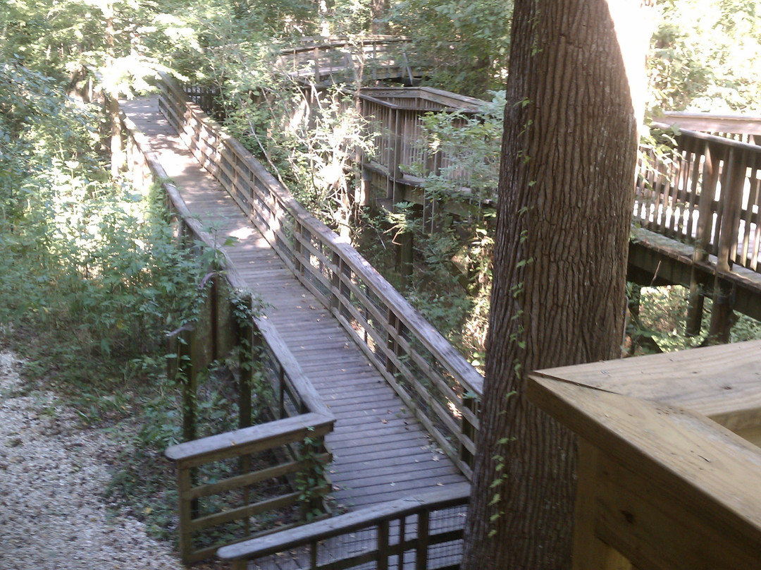 Acadiana Park Nature Station景点图片