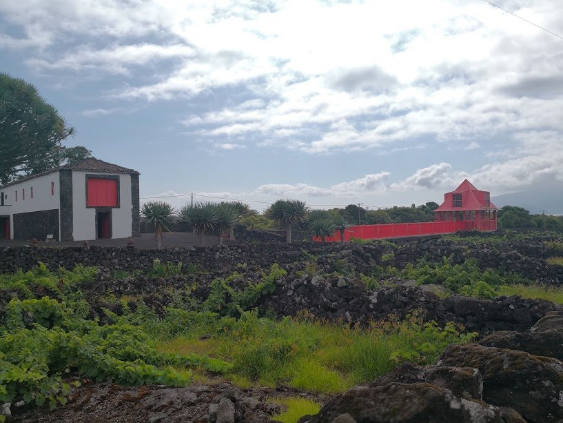 Pico Wine Museum-Pico必去景点
