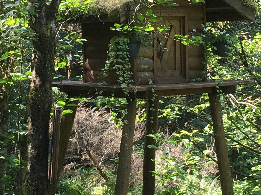 Juneau Rainforest Garden-朱诺必去景点