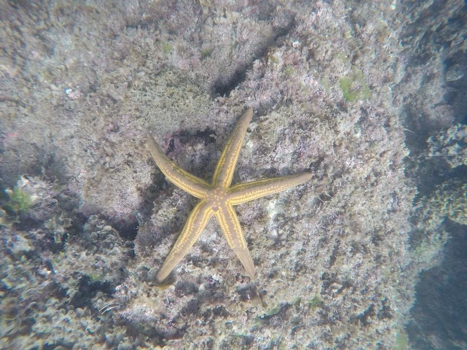 Bibanga Adventures Yacht景点图片