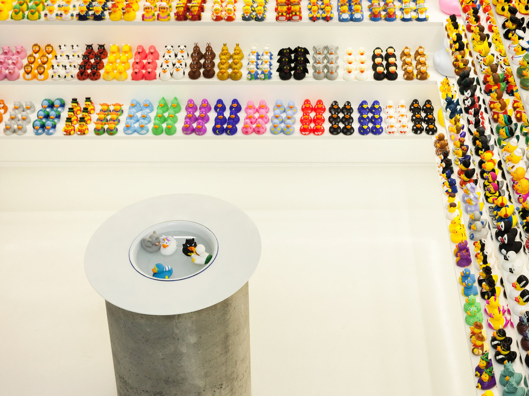 Limassol Duck Store-利马索尔必去景点