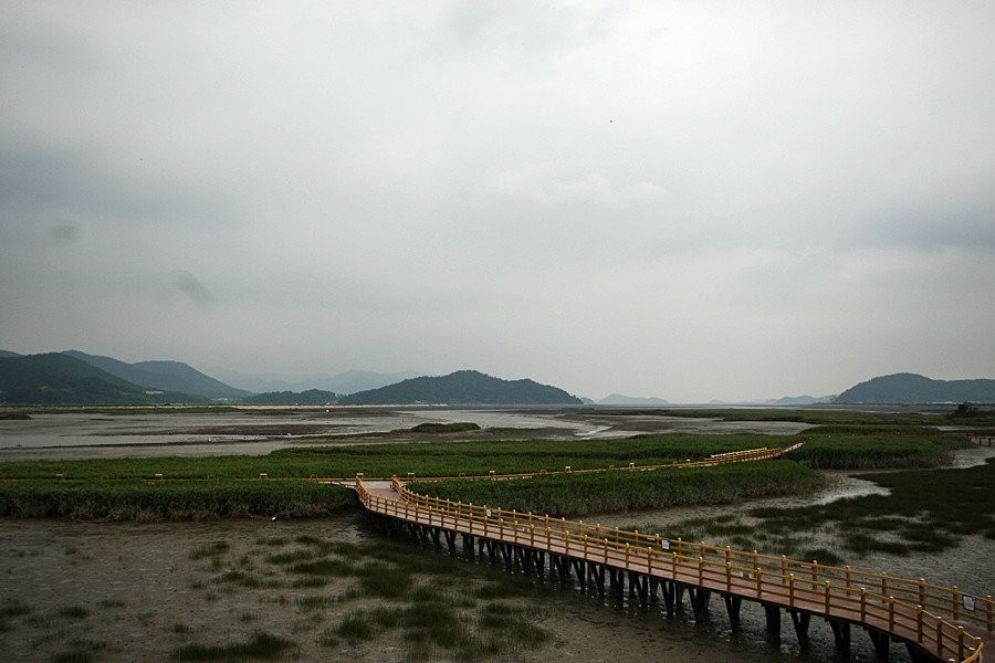 Gangjinbay Ecological Park-康津郡必去景点