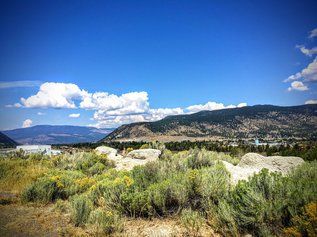 Comfort Inn & Suites主图