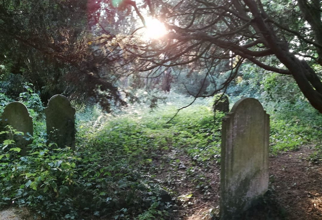 Southampton Old Cemetery景点图片