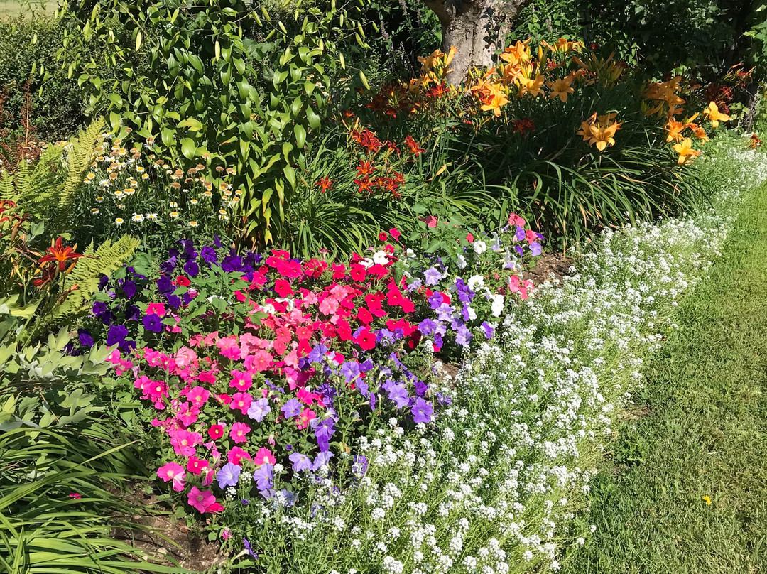 Genelle House B&B Guest House主图