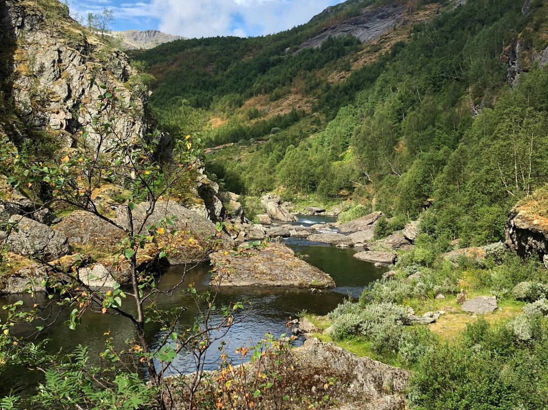 Aurlandsdalen Turisthytte DNT AS