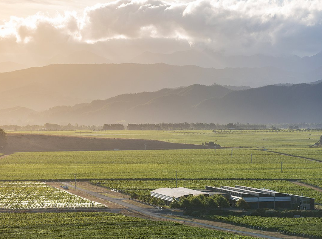 Spy Valley Wines景点图片