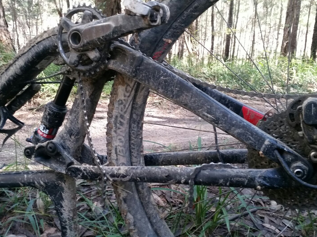 Bike On Australia景点图片