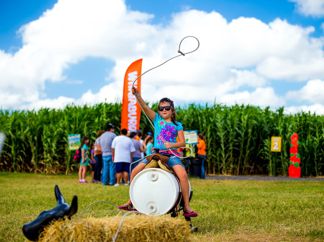 Rockin' K Farms-Robstown必去景点