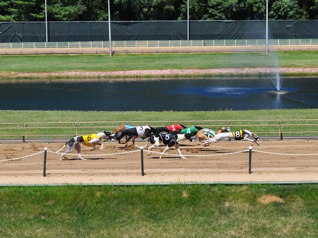 The Iowa Greyhound Park景点图片