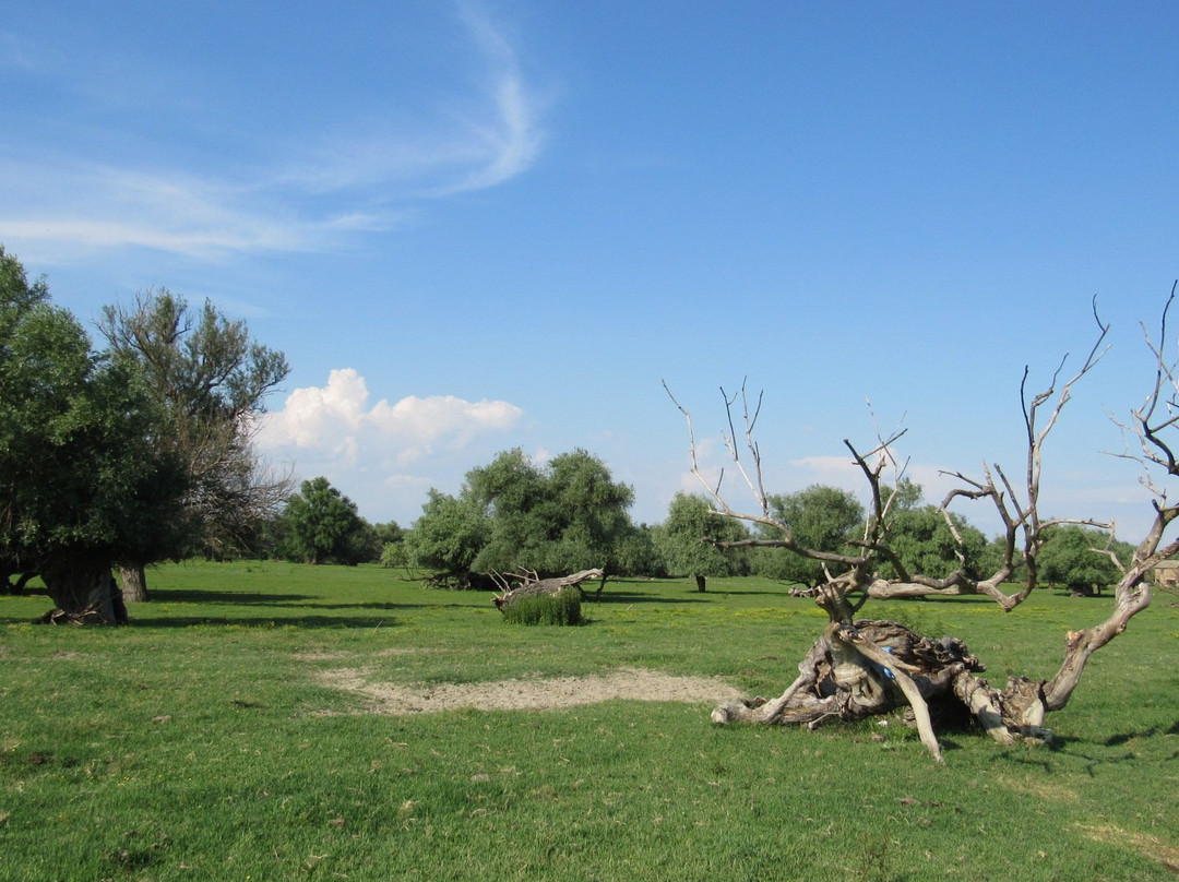 Island of Krcedin-Krcedin必去景点