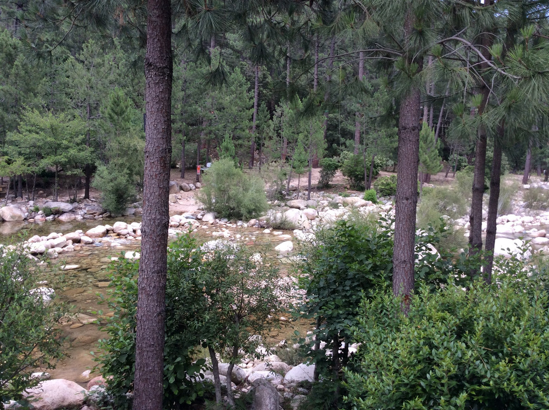 Piscines Naturelles De Cavu景点图片
