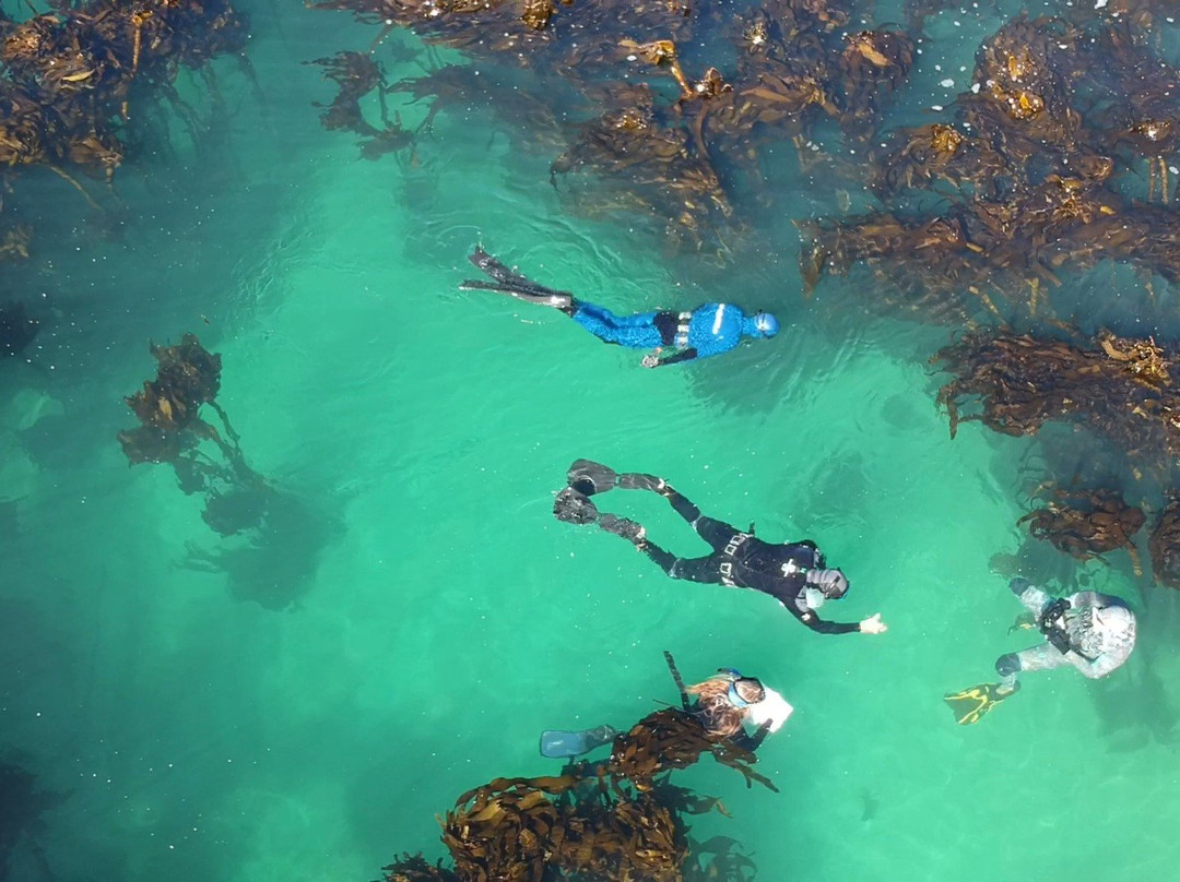 Cape RADD-开普敦必去景点