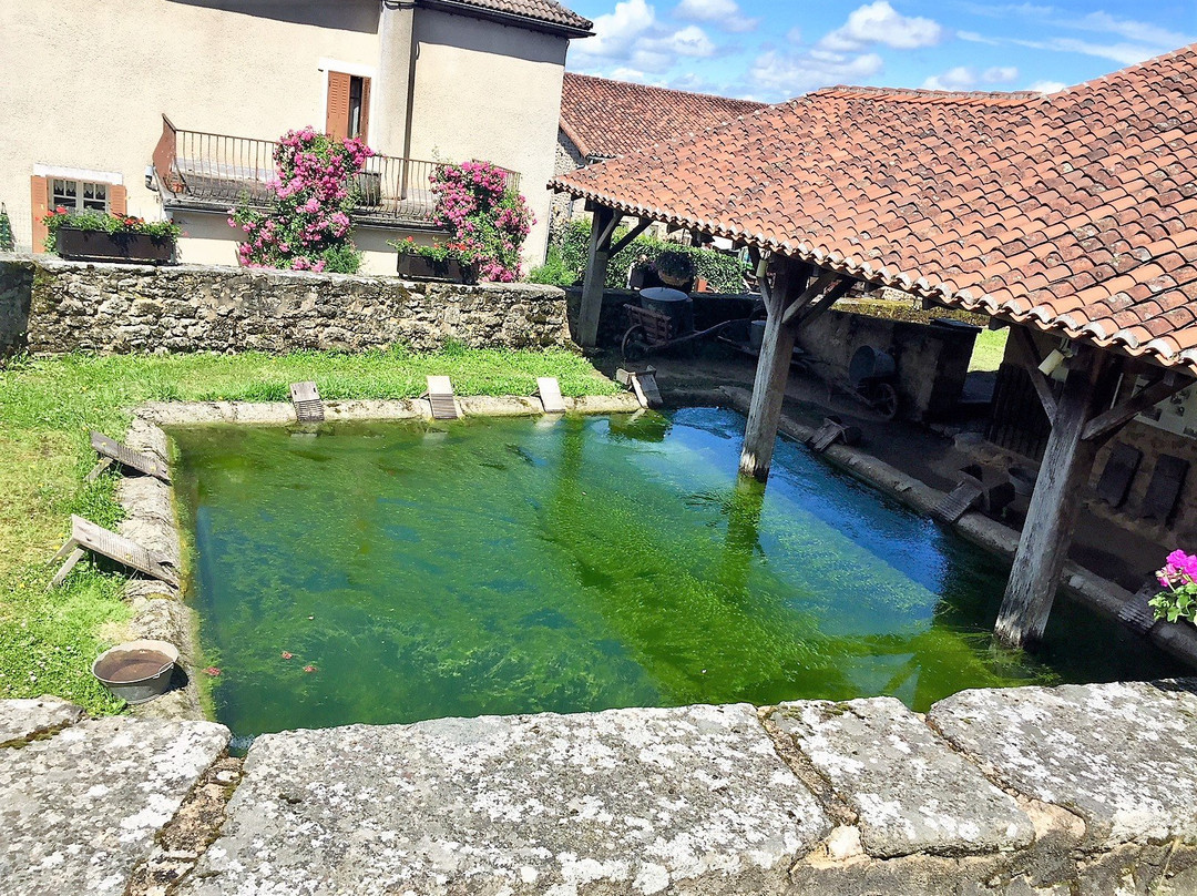 Montrol Senard旅游攻略图片