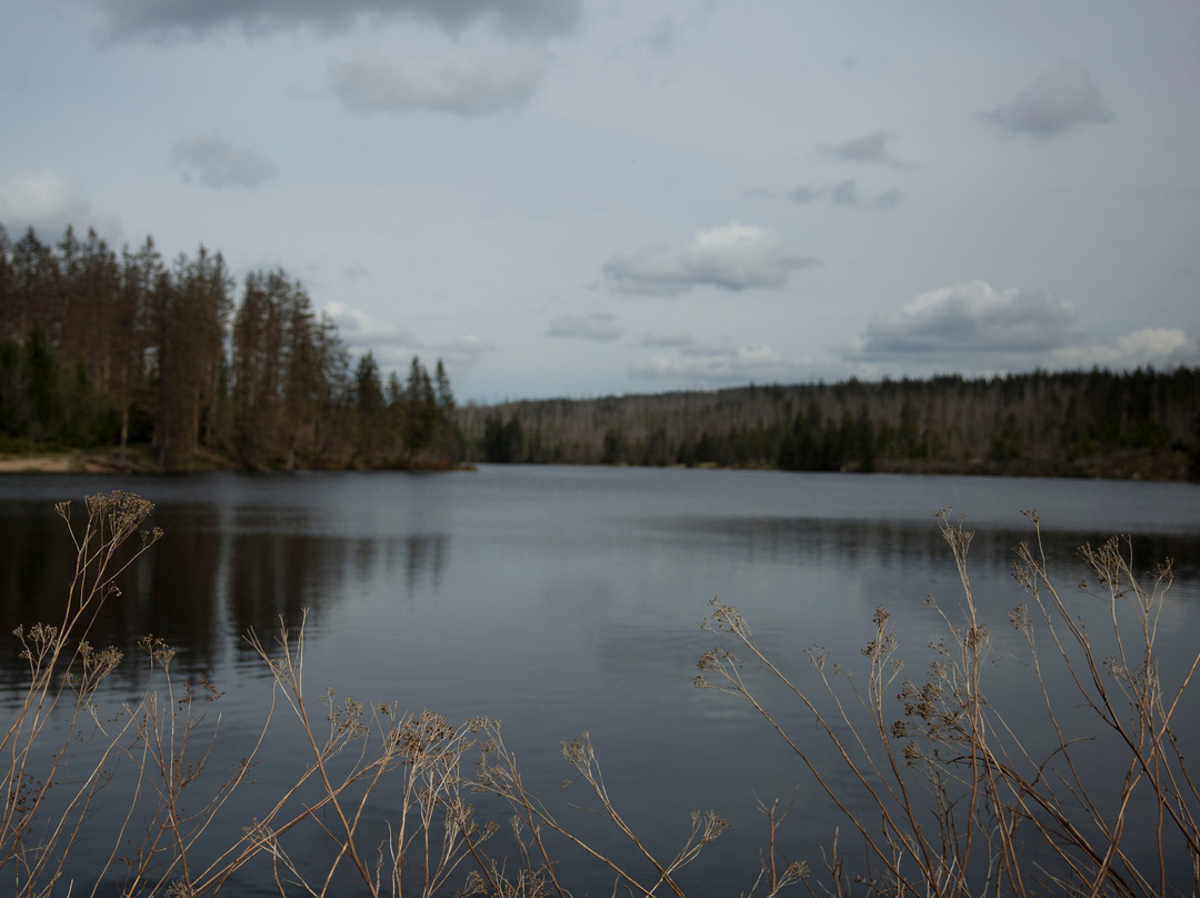 Landhaus Fischer主图