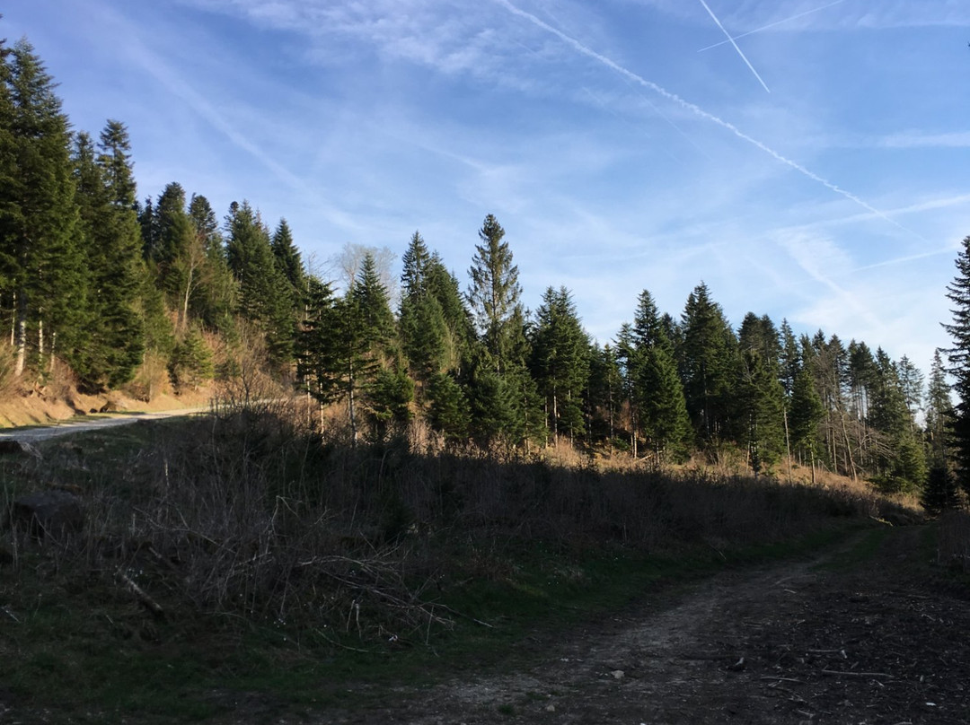 Le Signal des Voirons-Boege必去景点