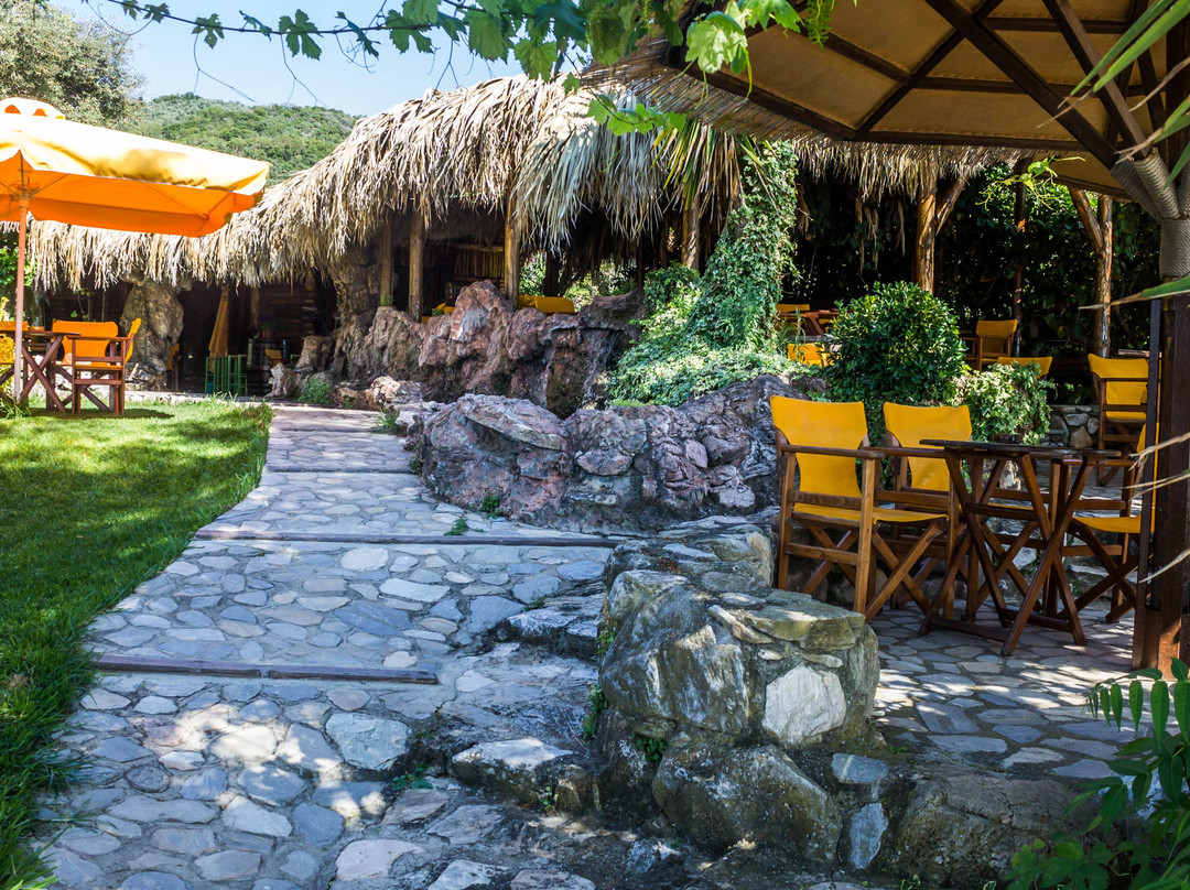 Tropic beach club