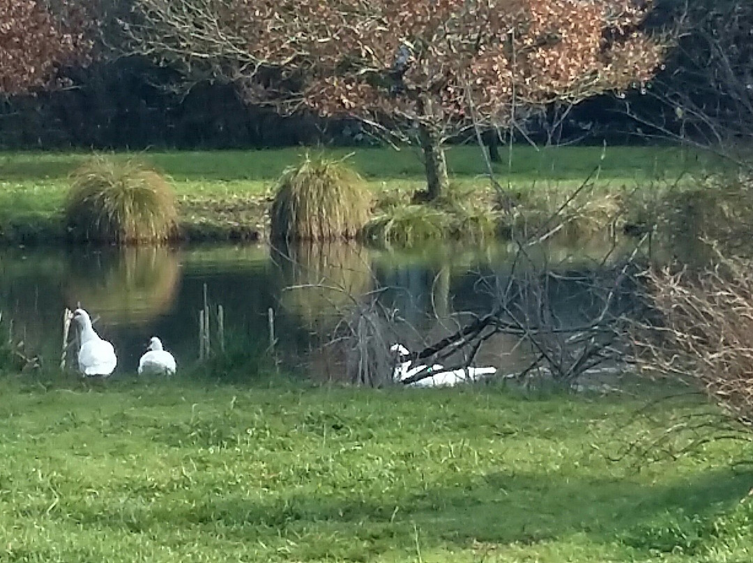 赛伦希尼亚庄园酒店主图
