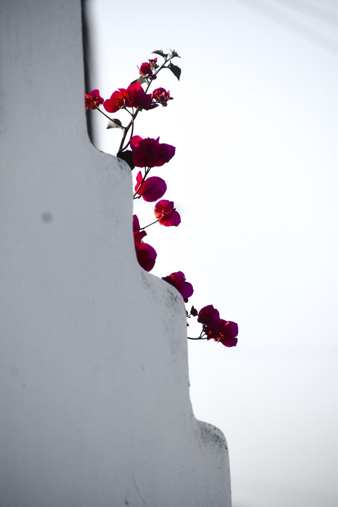 Sofos Suites Mykonos-官方