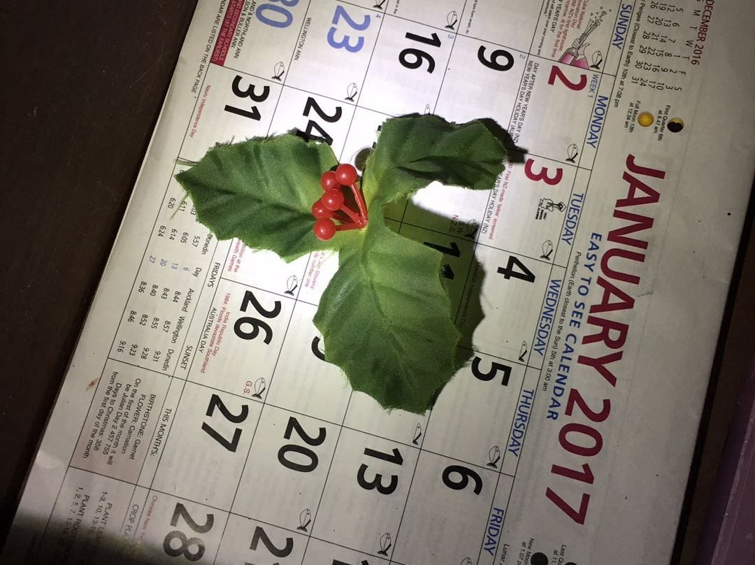 梦构造者逃脱室-奥克兰中心地区必去景点