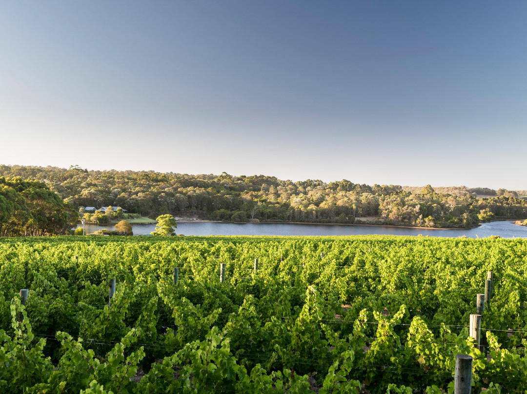 Sandalford Wines Margaret River景点图片