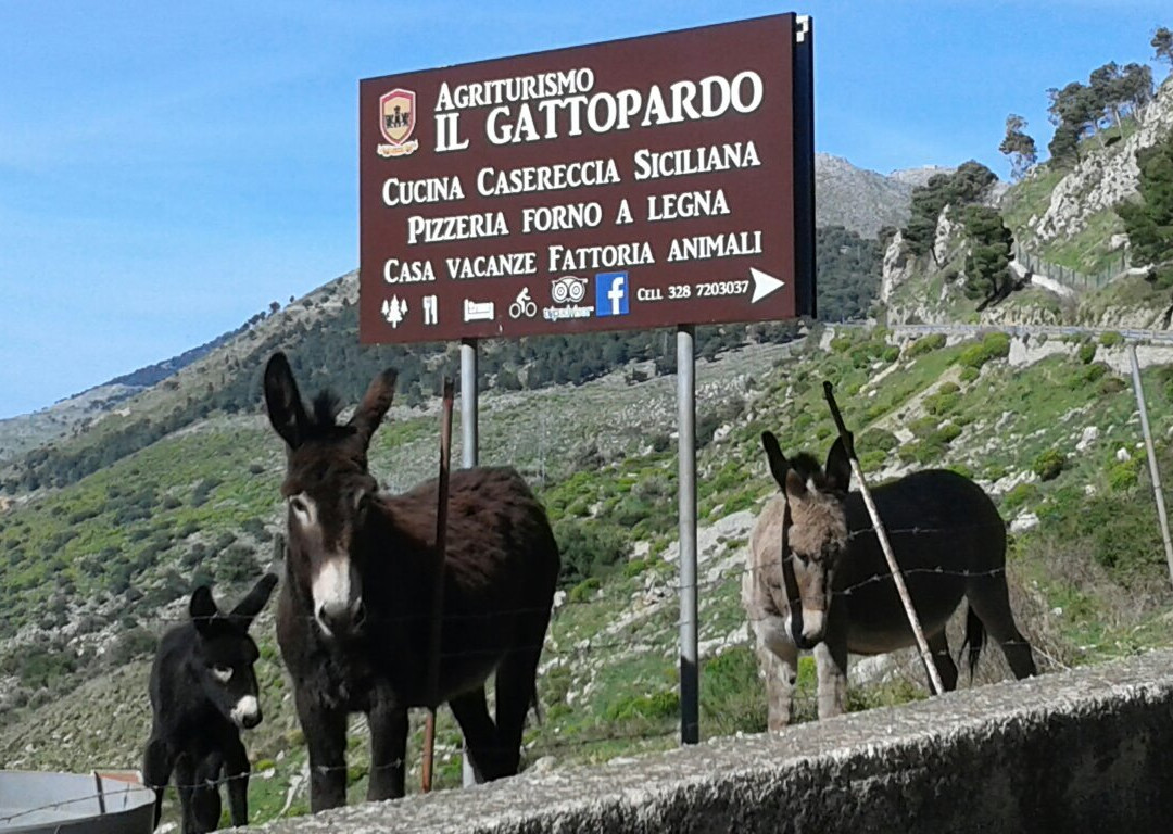 Agriturismo Il Gattopardo