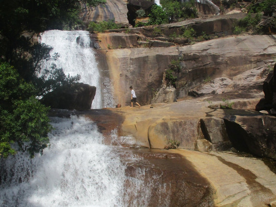 Alligator Falls Track-Alligator Creek必去景点