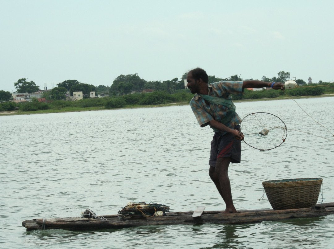 Pulicat Lake景点图片
