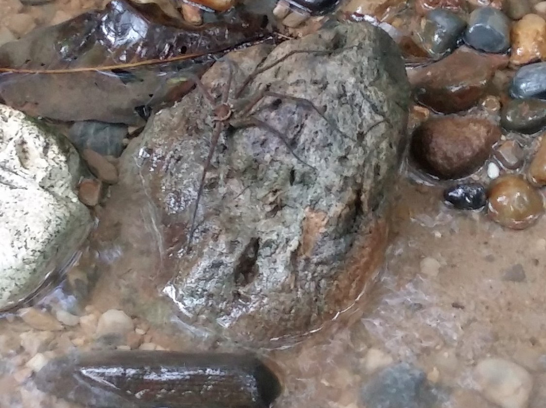 Parque Nacional del Agua-Carmen de Apicala必去景点