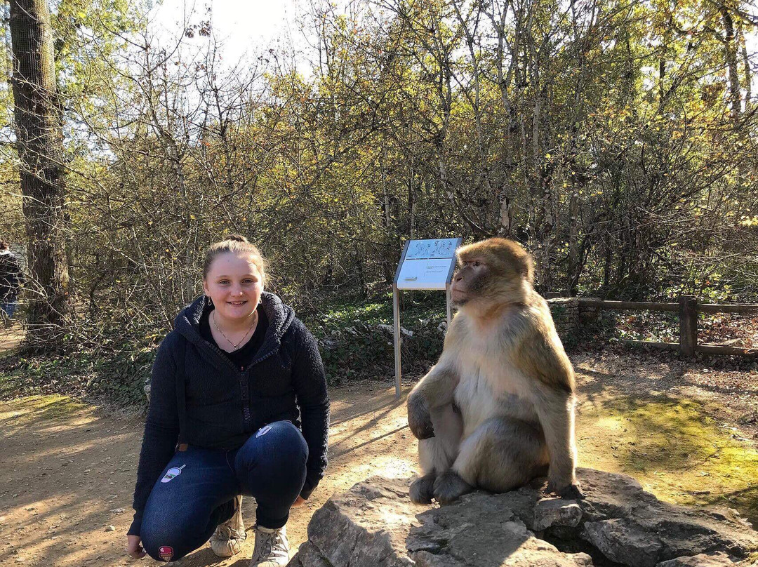喀斯餐厅酒店主图
