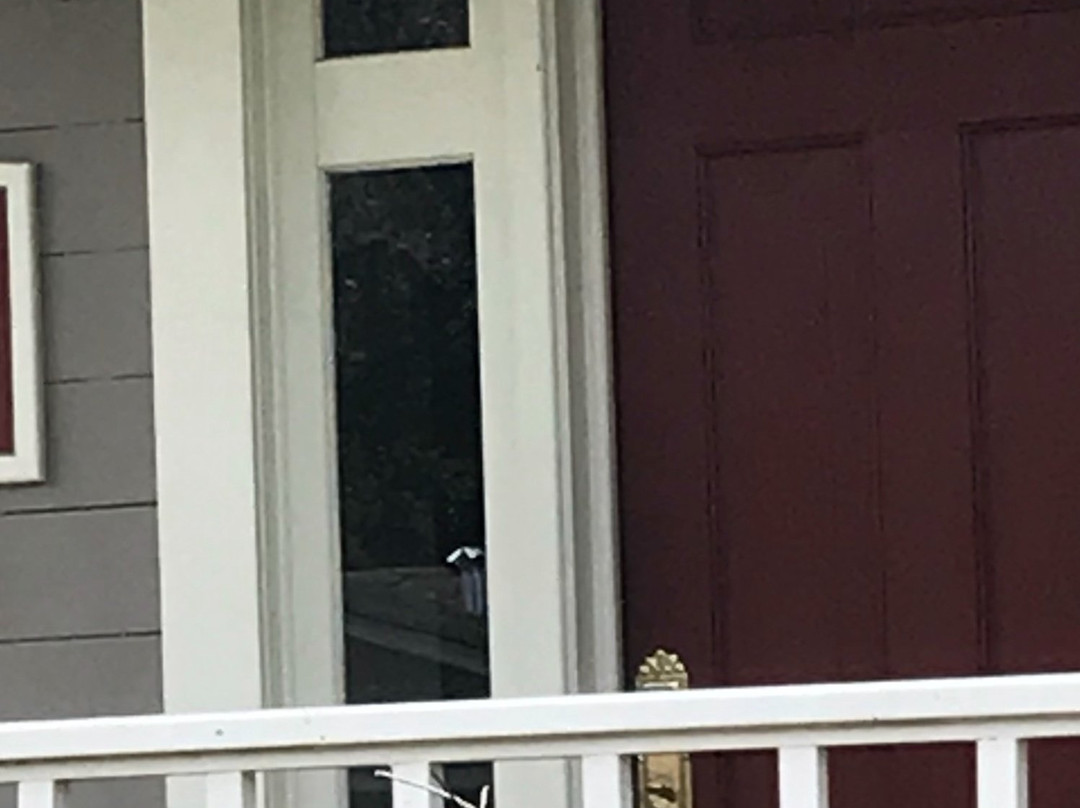 Old Mulberry Inn and Cottages主图