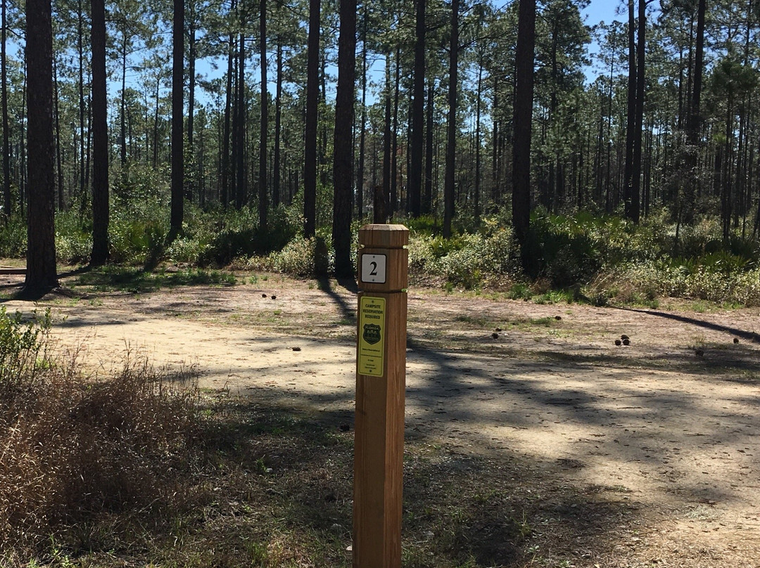 Cary State Forest-Bryceville必去景点