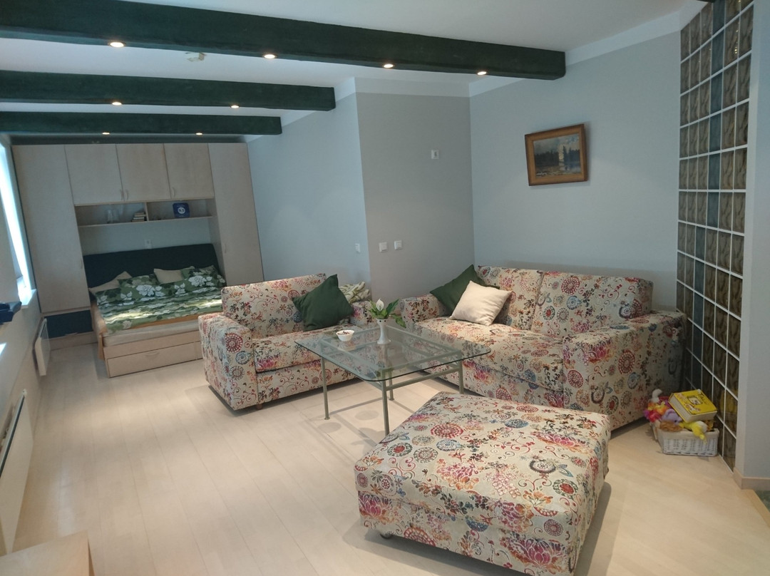 Arte Apartment主图