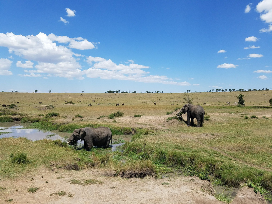 Mighty Safari-阿鲁沙必去景点