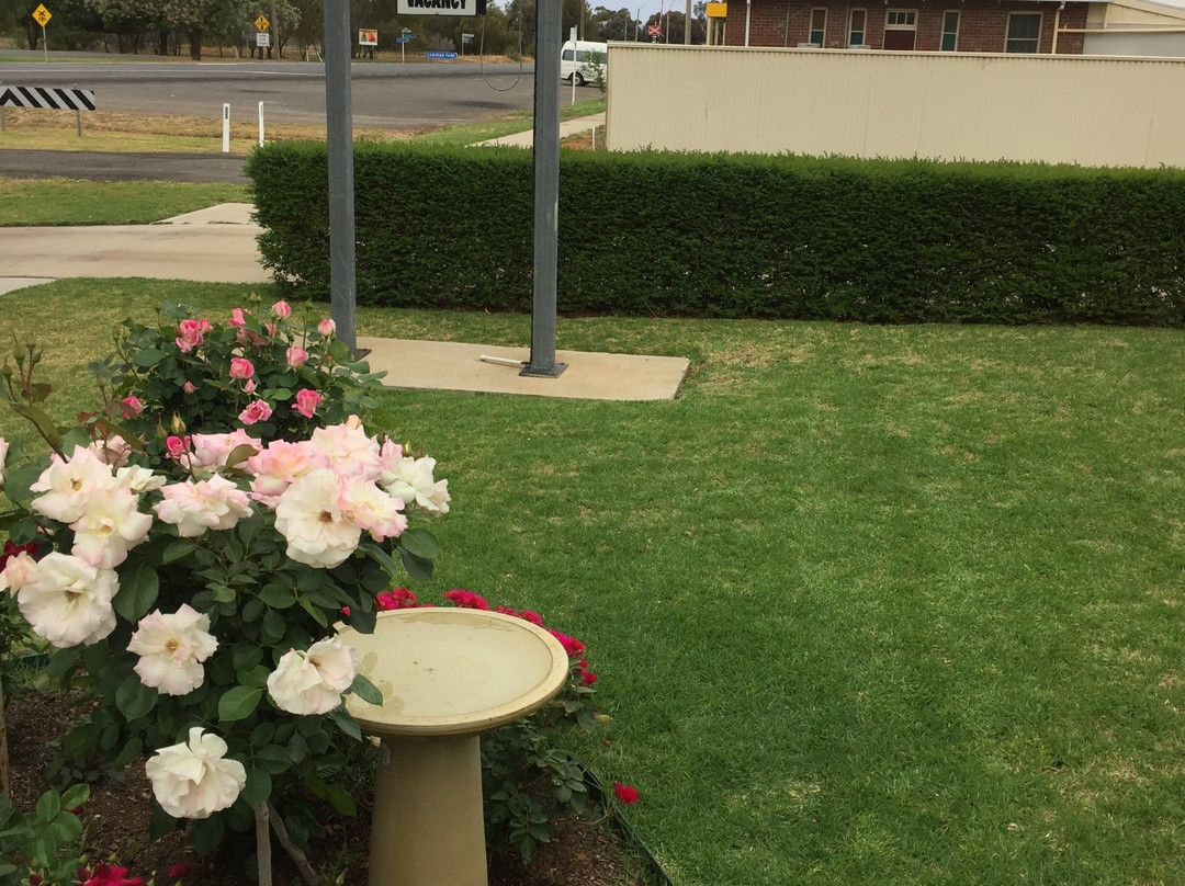 Goolgowi Motor Inn主图