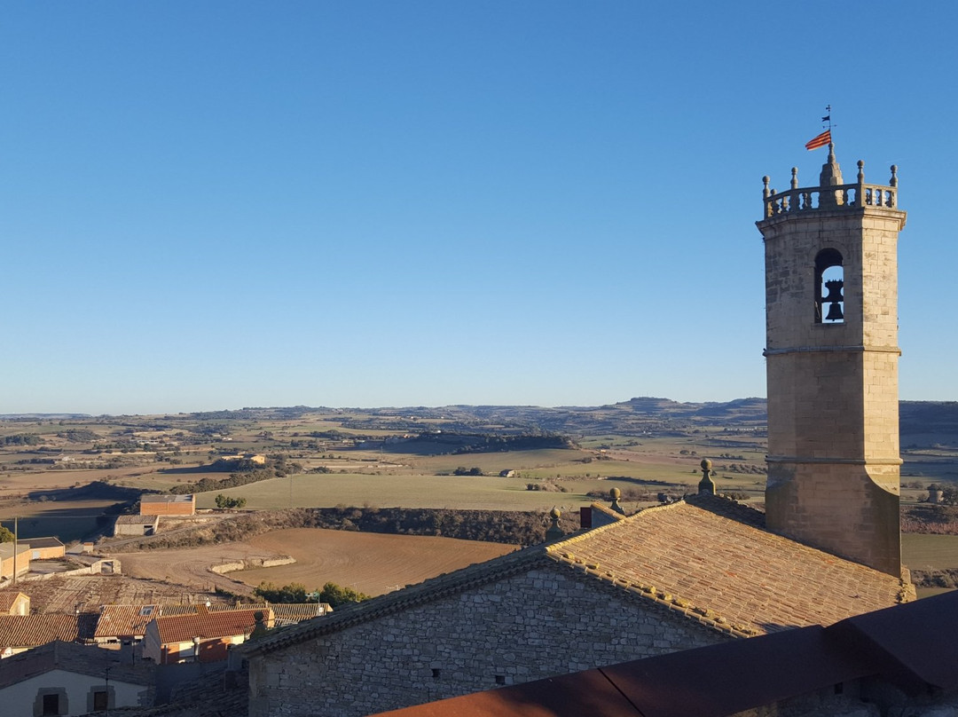 Castell de Granyena景点图片