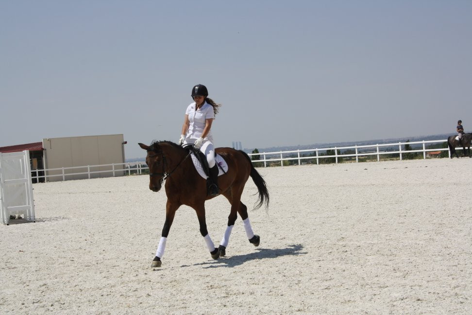 Hípica Los Aires de Jarama-Fuente El Saz De Jarama必去景点