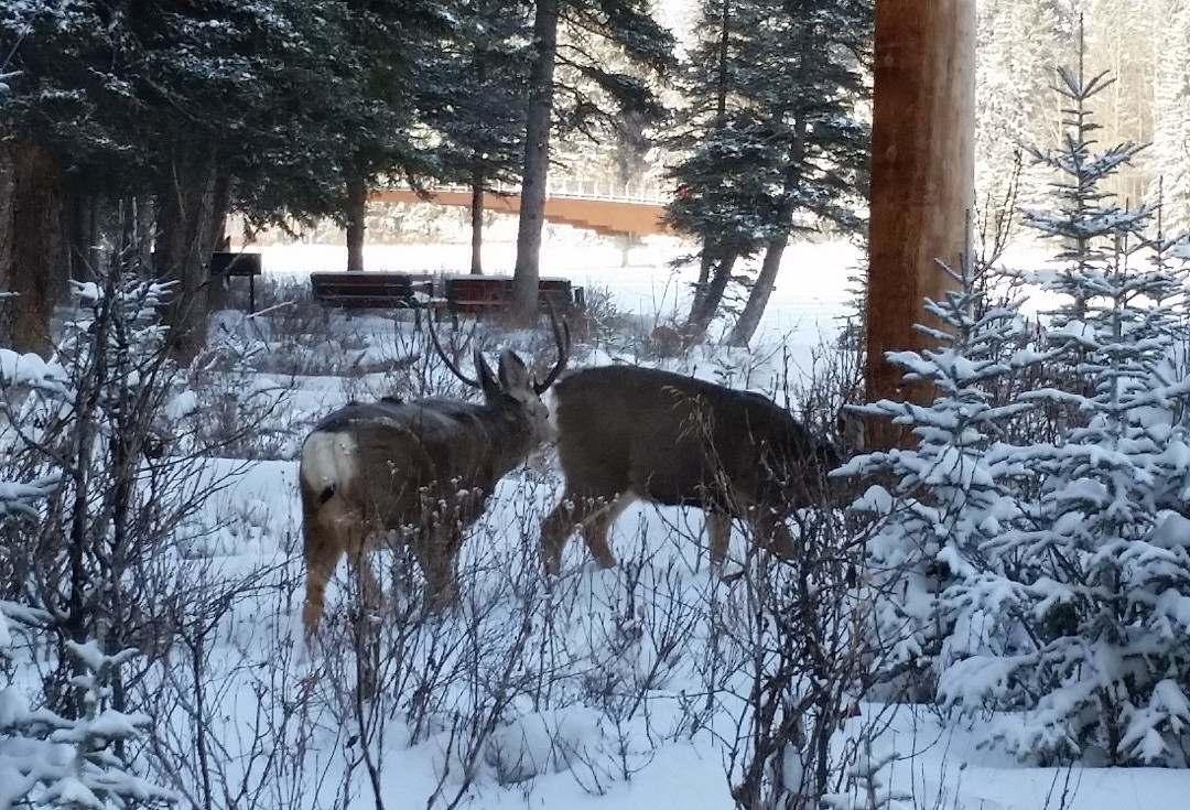 包湖景观酒店主图