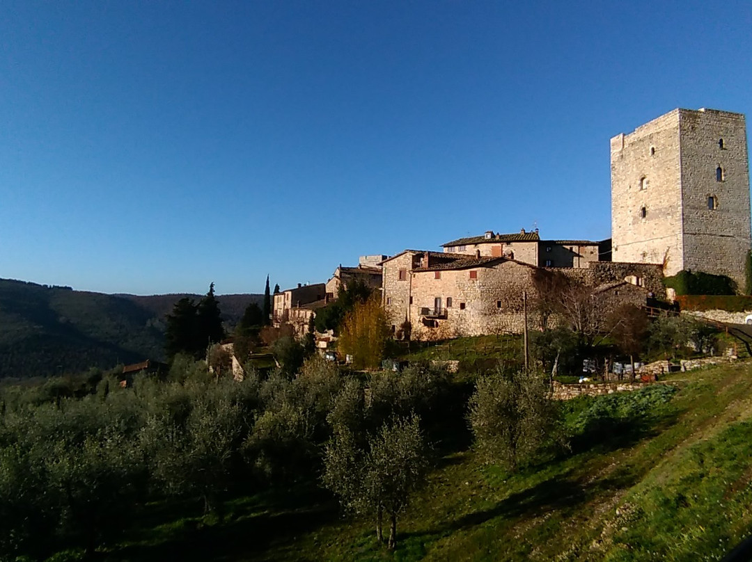 Castello di Vertine景点图片