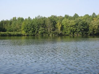 Lake Michael Park景点图片